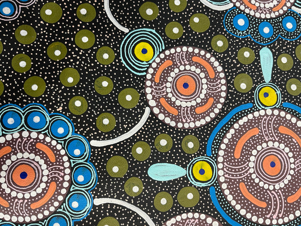 #387 After the Rain (Multi) ALIARA BIRD MPETYANE -  Aboriginal Art: 36cm x 50cm
