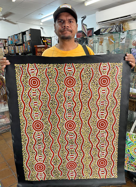 #349 Carpet Snake & Waterhole Dreaming - JONATHAN HOCKLEY Aboriginal Art: 75cm x 92cm