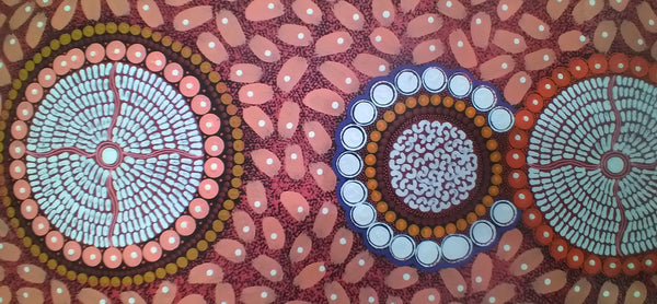 #35 ALIARA BIRD After the Rain (Red) : Aboriginal Art: 55x150cm