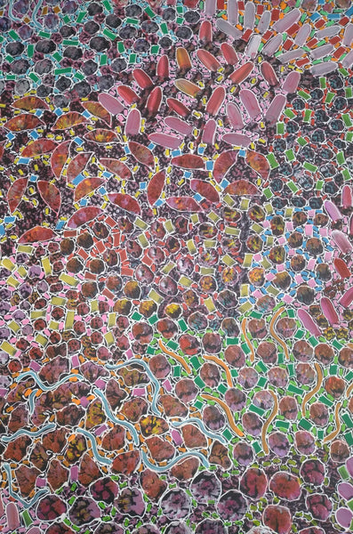 #36 Bush Yam Dreaming (Multi)- RACHAEL NAMBULA: Aboriginal Art 92x200cm