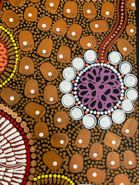 #130 ALIARA BIRD After the Rain (Brown) : Aboriginal Art: 47x90cm