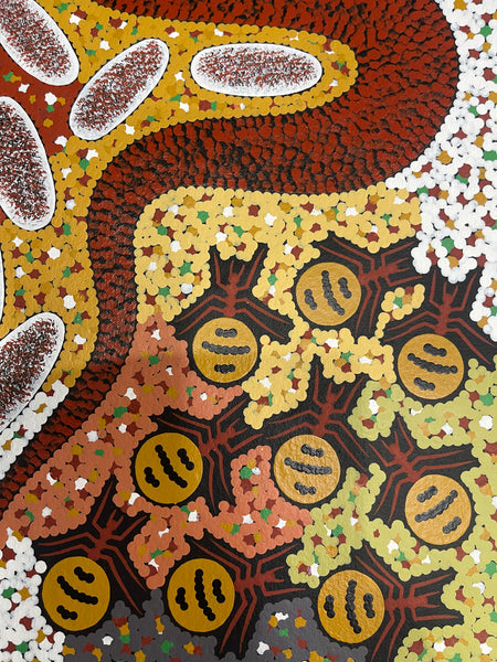#167 Carpet Snake Dreaming (Earth) - JONATHAN HOCKLEY - Aboriginal Art: 92x30cm