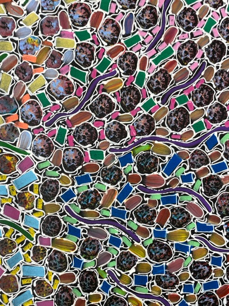 #62 Bush Yam Dreaming (multi) - RACHAELNAMBULA: Aboriginal Art 70 x 200cm